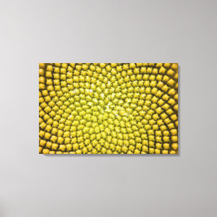 巨大なひまわり (Helianthus annuus) の中心 キャンバスプリント