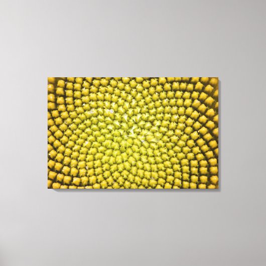 巨大なひまわり (Helianthus annuus) の中心 キャンバスプリント (正面)