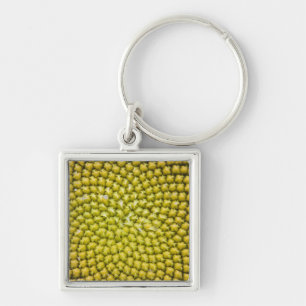 巨大なひまわり (Helianthus annuus) の中心 キーホルダー