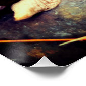 巨大なアフリカの陸地カタツムリ ポスター (コーナー)