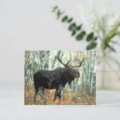 巨大なアメリカヘラジカ ポストカード (スタンド正面)