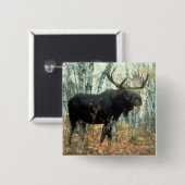 巨大なアメリカヘラジカ 缶バッジ (正面&裏面)