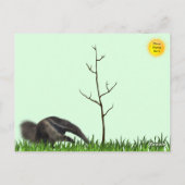 巨大なアンテータポストカード ポストカード (裏面)