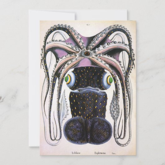 巨大なイイダコまたはタコ、ビンテージの海洋生物動物 (正面)