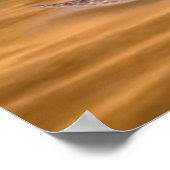 巨大なイカ ポスター (角)