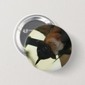 巨大なインドのオオコウモリ 缶バッジ (正面&裏面)