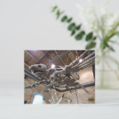 巨大なウミガメのアーケロンのはがき ポストカード (スタンド正面)