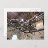 巨大なウミガメのアーケロンのはがき ポストカード (正面/裏面)