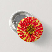 巨大なオレンジと黄金色のアスターの花 缶バッジ (正面&裏面)