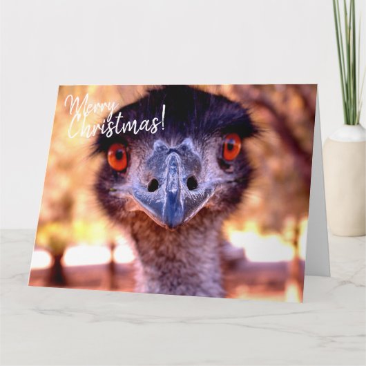 巨大なオーストラリアのクリスマスカード エミュー カード (正面)