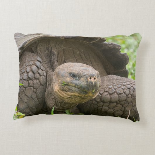 巨大なカメ アクセントクッション (裏面)
