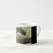 巨大なカメ エスプレッソカップ (正面右)