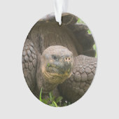 巨大なカメ オーナメント (正面)