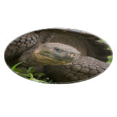 巨大なカメ カッティングボード (角)