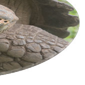 巨大なカメ カッティングボード (角)