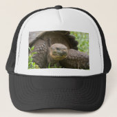 巨大なカメ キャップ (正面)