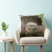 巨大なカメ クッション (椅子)