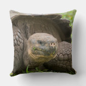 巨大なカメ クッション (裏面)