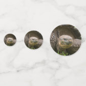 巨大なカメ コンフェッティ (裏面)