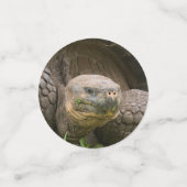 巨大なカメ コンフェッティ (スモール正面)