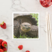 巨大なカメ スタンダードカクテルナプキン (インサイチュ)