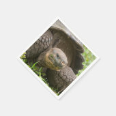 巨大なカメ スタンダードカクテルナプキン (角)