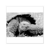 巨大なカメ セルフインキングスタンプ (デザイン)