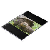 巨大なカメ ノートブック (左側)