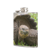 巨大なカメ フラスク (左)