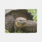 巨大なカメ フリースブランケット (正面(横))
