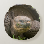 巨大なカメ ラウンドクッション (正面)