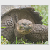 巨大なカメ ラッピングペーパー (フラット)