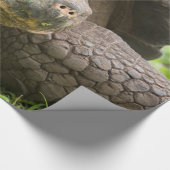 巨大なカメ ラッピングペーパー (コーナー)