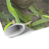 巨大なカメ ラッピングペーパー (ロールコーナー)