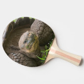 巨大なカメ 卓球ラケット (横)