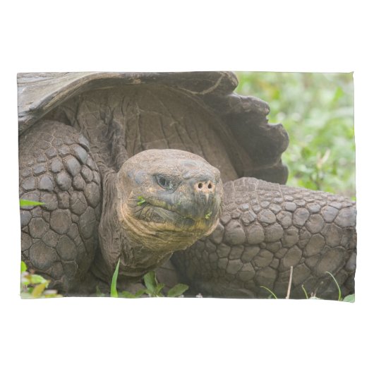 巨大なカメ 枕カバー (正面)