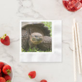 巨大なカメ 縁ありカクテルナプキン (インサイチュ)