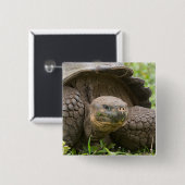 巨大なカメ 缶バッジ (正面&裏面)