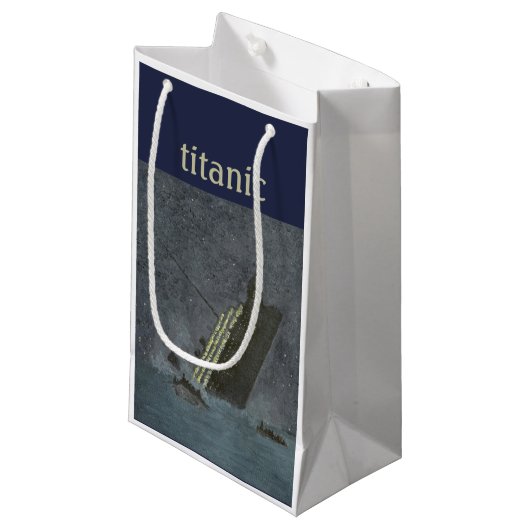 巨大なギフトバッグ スモールペーパーバッグ (正面アングル)