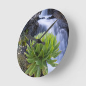 巨大なグラウンドセルまたはデンドロセネシオ2 ラウンド壁時計 (傾斜)