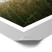 巨大なグレートデーンの子犬販売 ポスター (角)