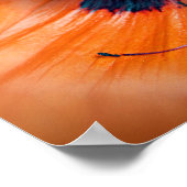 巨大なケシの花 ポスター (角)