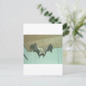 巨大なコウモリ "フライング・フォックス" ポストカード (スタンド正面)