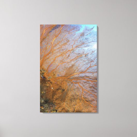 巨大なゴルゴニアのウミファン(Plexauridae sp.) キャンバスプリント (正面)