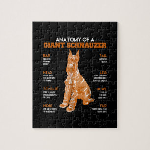 巨大なシュナウザー犬の贈り物の解剖おもしろい学 ジグソーパズル