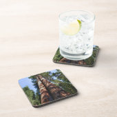 巨大なセコイアの基地でビデオテープに収めた女性 コースター (右側)