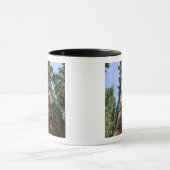 巨大なセコイアの基礎でビデオ撮影した女性 マグカップ (中央)