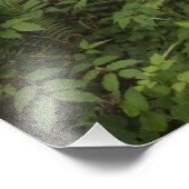 巨大なセコイアの木々を通る道が覆われた フォトプリント (角)