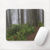 巨大なセコイアの木々を通る道が覆われた マウスパッド (マウス)