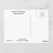 巨大なセコイア ポストカード (裏面)